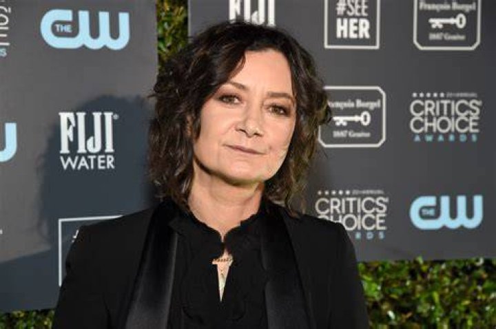 'Roseanne' Star Sara Gilbert, 49, Asks for Divorce from Her Star Wife: Details