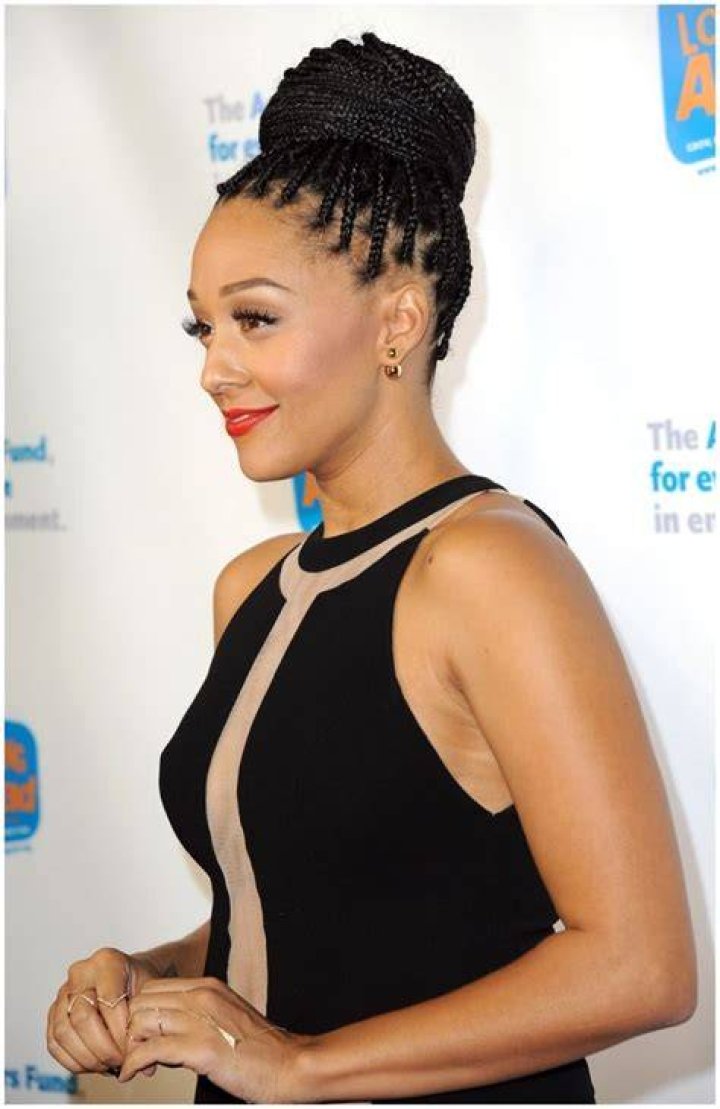 17+ Box Braid Updo Hairstyle Ideas, Designs Design Trends Premium PSD, Vector Downloads