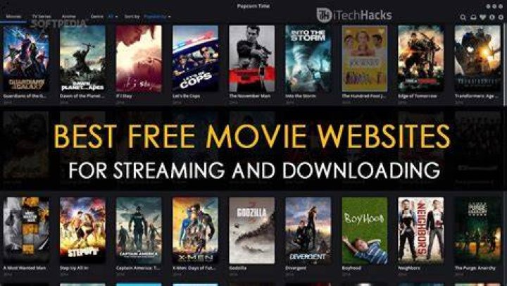 (2020) Illegal Movies Downloading Site