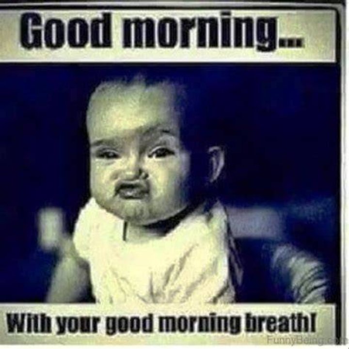 80 Fresh Good Morning Memes