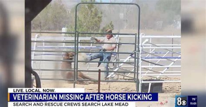 A horse was seen being walked down the interstate as emergency vehicles struggled to navigate through the backed-up cars