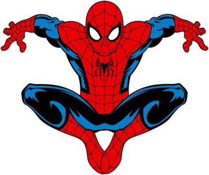 a man in a spiderman costume is posing for the camera