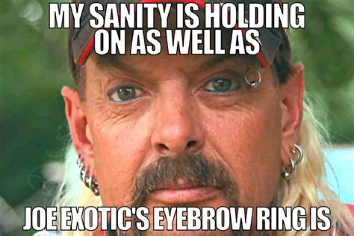 A meme about Joe Exotic's career as a country musician.