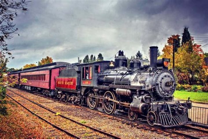 A train at a train station | Photo: Pexels