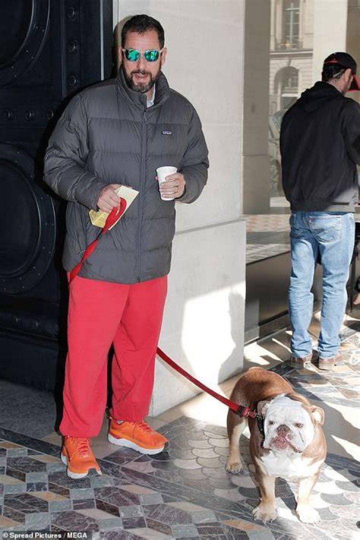 Adam Sandler stays comfortable while taking his bulldog Bagel out for a stroll in Paris Daily