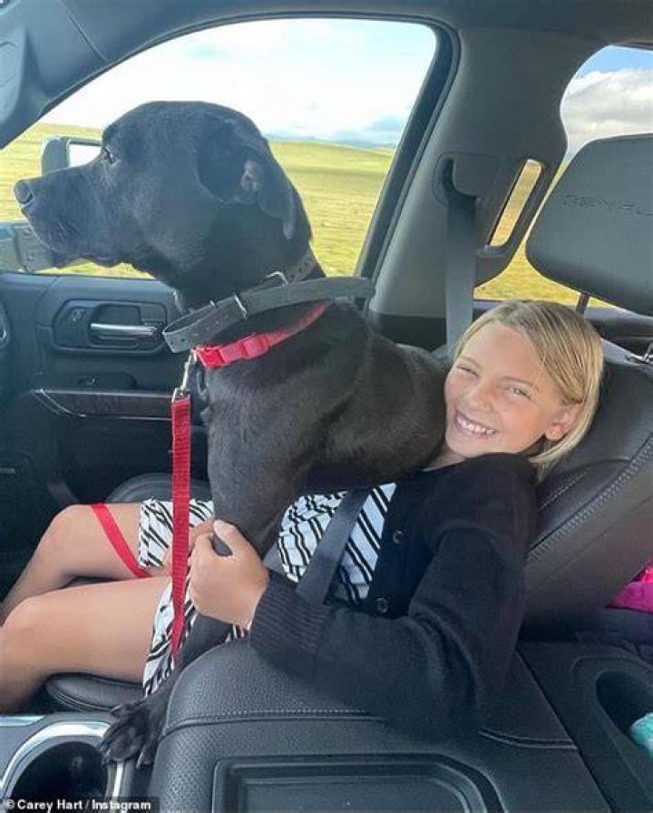 Adorable: Hart, 46, described Willow as a 'sweet, sassy. fierce physical, loving and intelligent ' young lady, whom he credits with teaching him how to 'love in ways I didn't know was possible