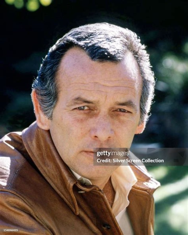 American actor David Janssen (1931 - 1980), circa 1965. | Photo: Getty Images