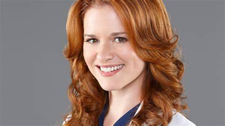 April Kepner Grey's Anatomy and Private Practice Wiki
