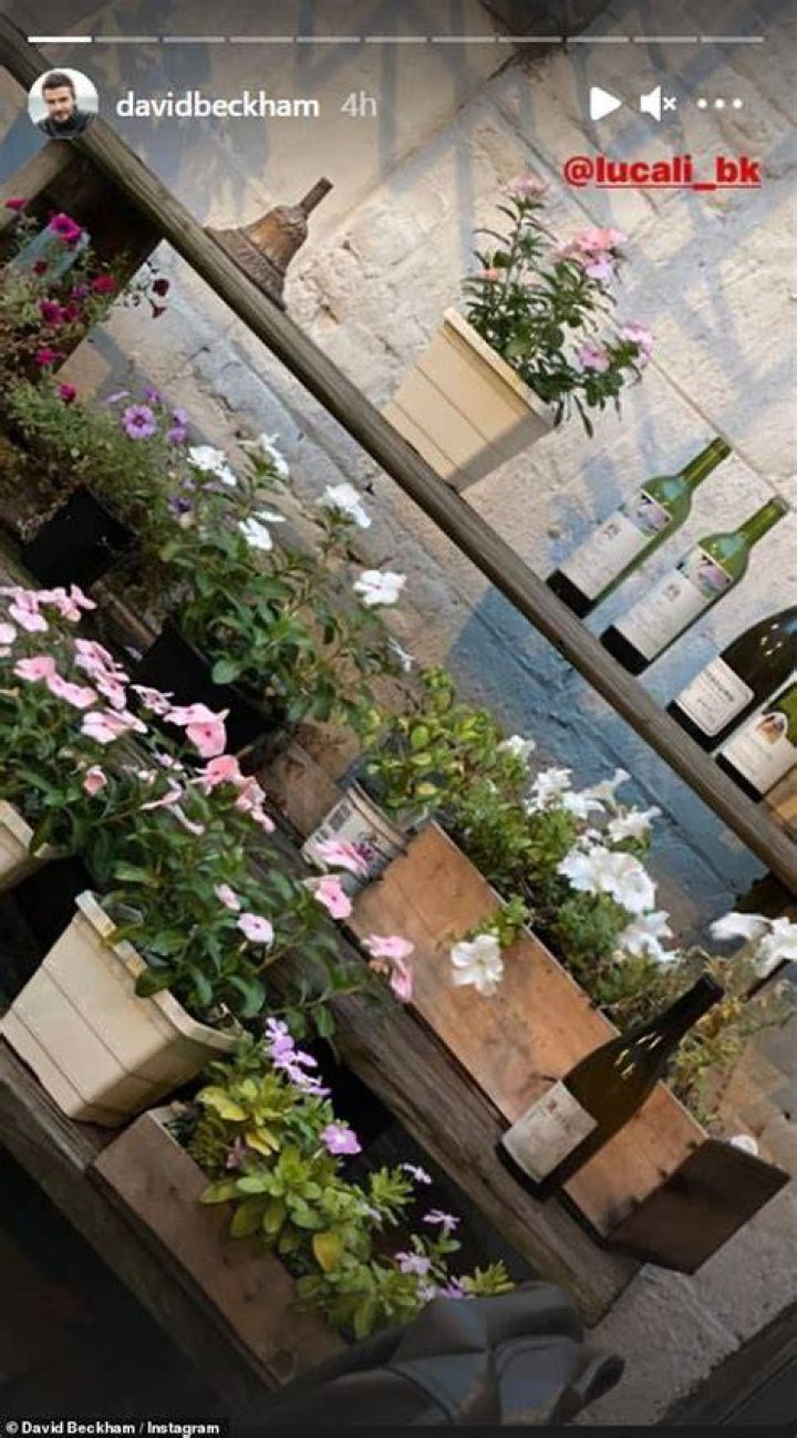 Atmospheric: The Beckham bunch appeared to be fine dining in a picturesque courtyard, where pink flowers and wine bottles create an outdoor, rustic ambience