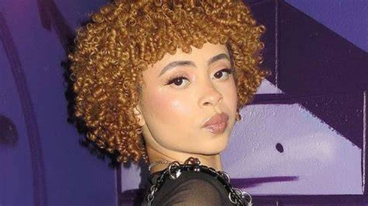 Austin Brown Viral Ice Spice Parents