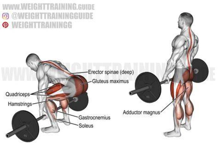 barbell deadlift