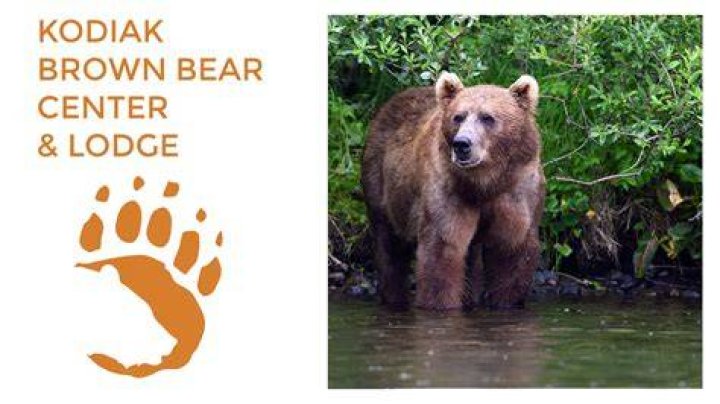 Bear and Rainn were exploring the aspen forests and alpine terrain of Utah in the US