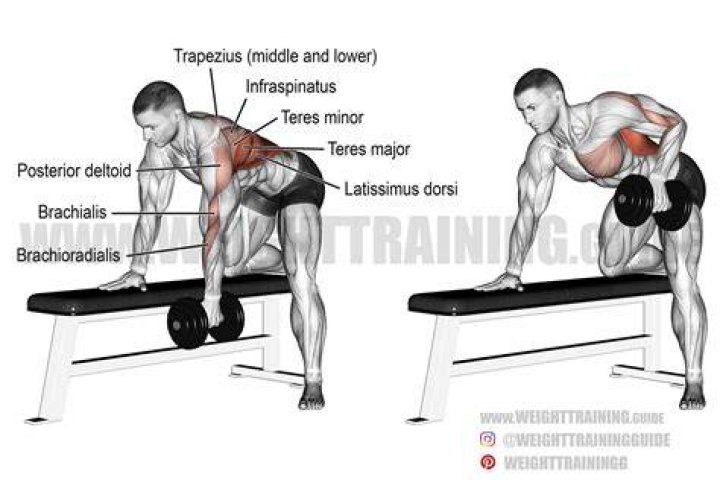 bent-over dumbbell row