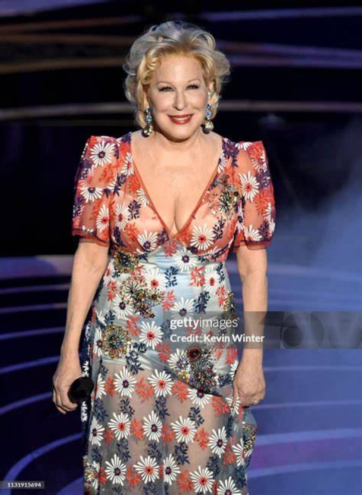 Bette Midler at the 91st Annual Academy Awards | Photo: Getty Images