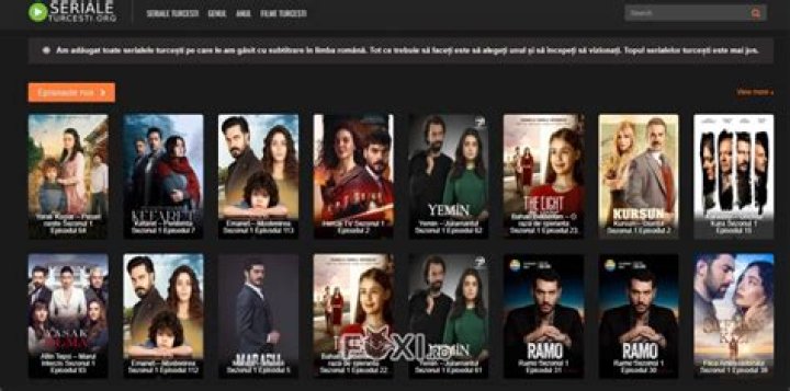 Bio, seriale si filme cu Dan Chupong