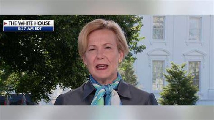 Birx, who served as White House Coronavirus Response Coordinator, said Monday that 'I didn't know what was happening' during that April 23 briefing. 'I couldn't understand how disinfectant and sunlight for outdoor playground equipment became this,' she said