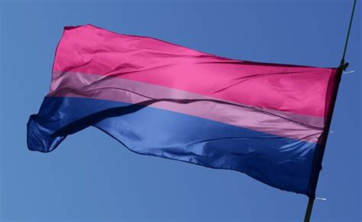 Bisexual Pride Tech Industry Work Sticker bifi Etsy
