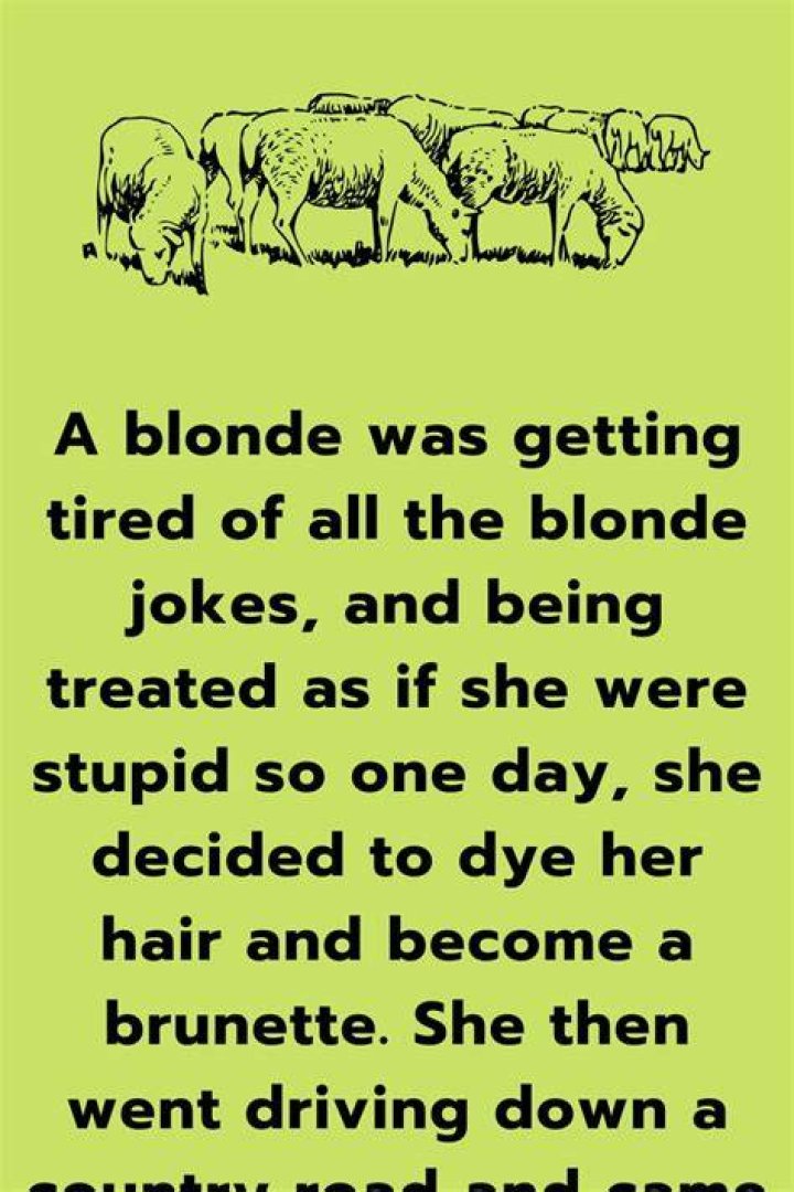 Blonde joke Blonde jokes, Funny blonde jokes, Clean blonde jokes