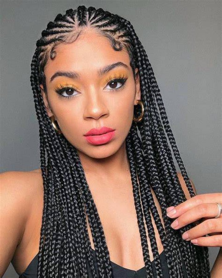 box braid hairstyles Afro braidsstyles box braid hairstyles Afro braidsstyles box braid ha