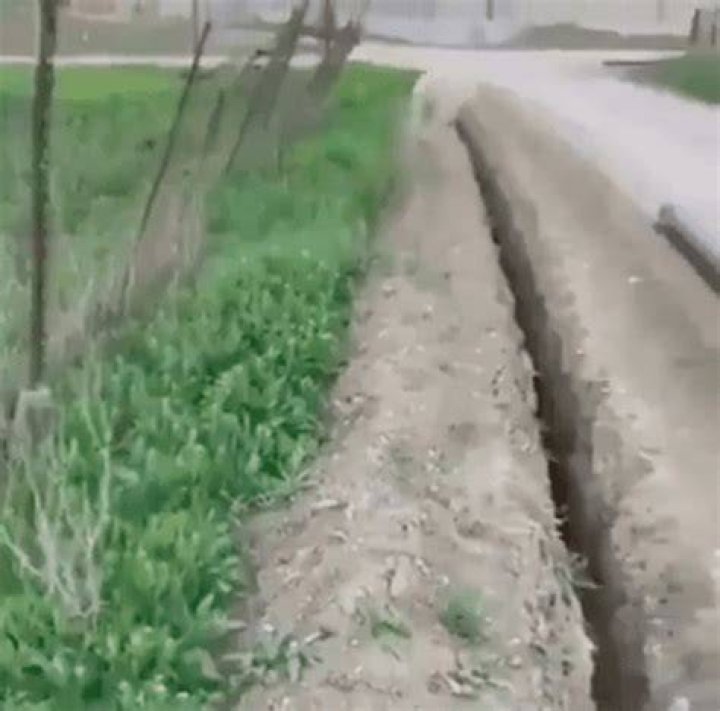 Boy Rescues Sheep That Fell into a Hole, but It Makes the Same Mistake Again