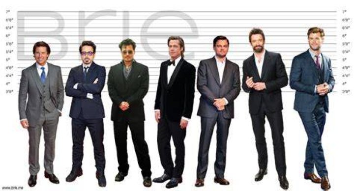Brad Pitt Height How Tall is He Really? Brie