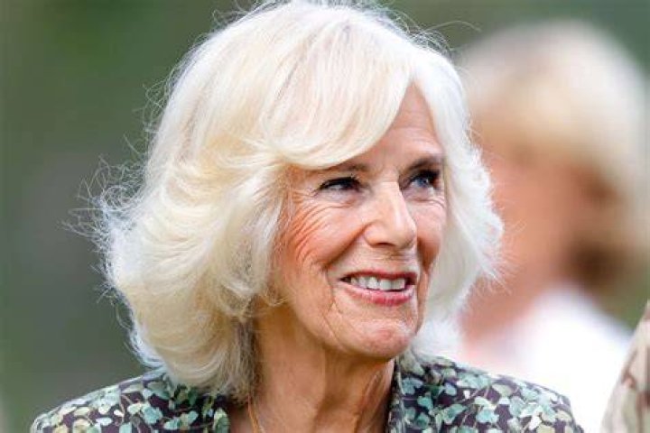Camilla Parker Bowles was invited to his sister Lady Tamara Grosvenor's wedding (pictured) but was told that she would not be permitted to sit with Prince Charles and would have to sit several rows back. She would also have to arrive separately. This was because Queen Elizabeth and Prince Philip were due to attend the ceremony. A Buckingham Palace courtier was quoted as saying at the time: 'It may provoke comment on the day, but Her Majesty will also be attending and she is a stickler for protocol. A pew will be set aside for the members of the Royal Family attending, and it would be inappropriate for Mrs Parker Bowles to sit beside Prince Charles since she has no official standing. Even for Mrs Parker Bowles to arrive with the Prince at the event, in the presence of the Queen, would be to confer rights and status upon her that she simply does not have.'