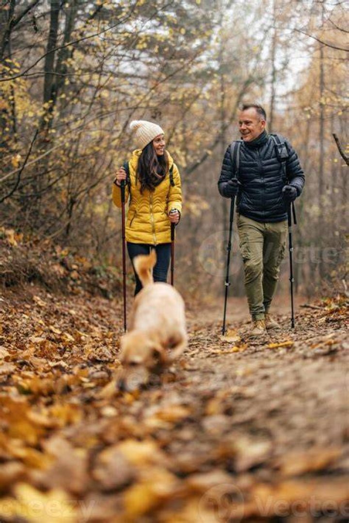 Couple is excited following a surprise pregnancy announcement | Photo: Unsplash/jonathanborba