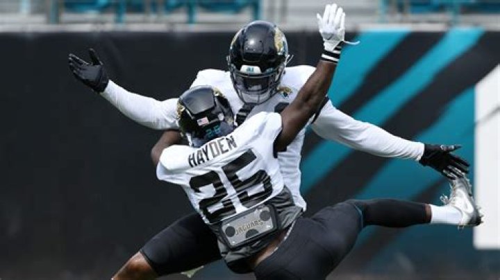 D.J. Hayden of the Jacksonville Jaguars playing against the Pittsburgh Steelers on November 22, 2020 in Jacksonville, Florida | Source: Getty Images