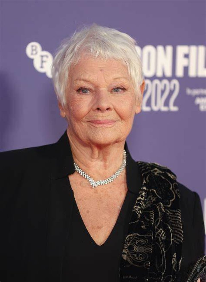 Dame Judi Dench at the Evening Standard Theatre Awards at the National Theatre on December 13, 2004 in London | Source: Getty Images