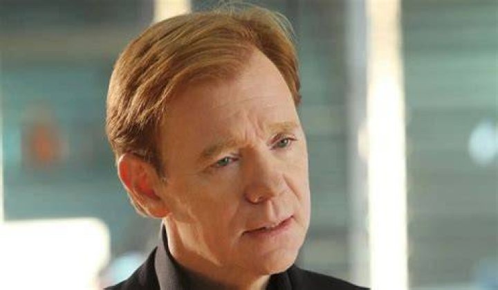 David Caruso Net Worth, Wealth, and Annual Salary 2 Rich 2 Famous