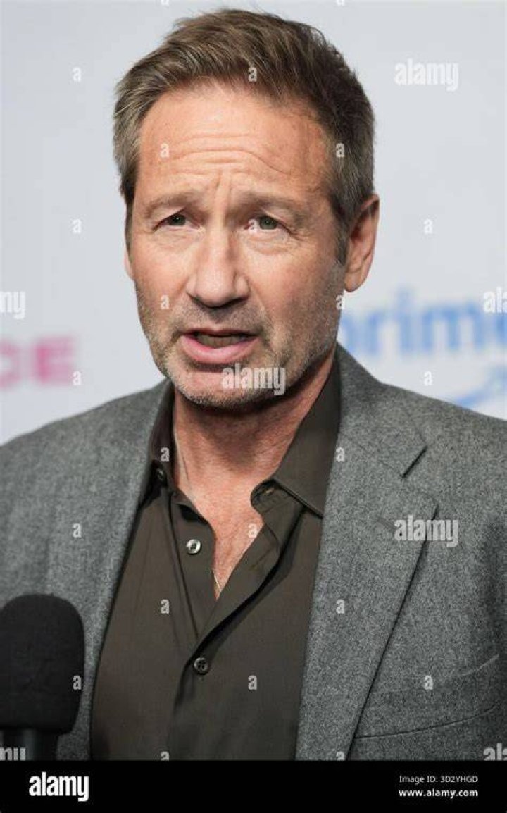David Duchovny attends the premiere of Fox's "The X-Files." | Source: Getty Images 