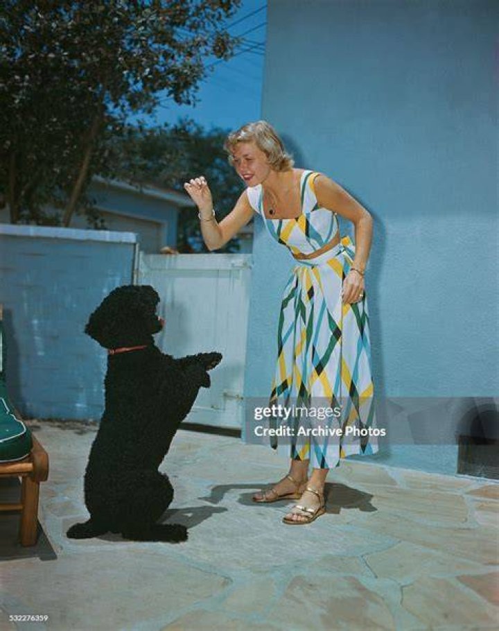 Doris Day playing with a dog, circa 1950 | Photo: Getty Images