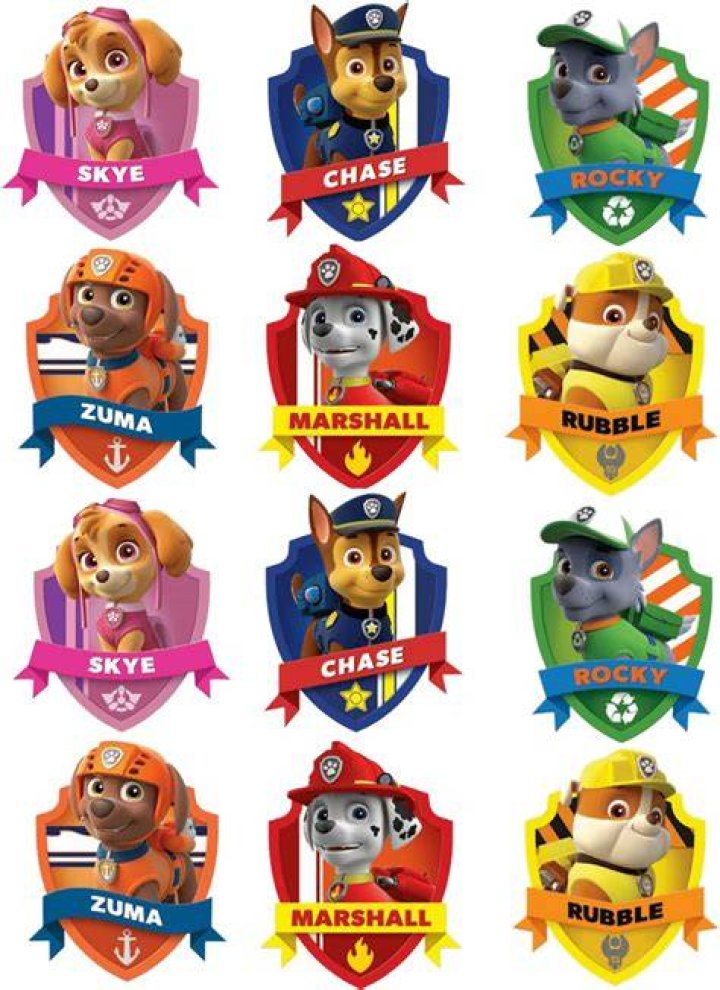 Download Paw Patrol With Names PNG Image with No Background