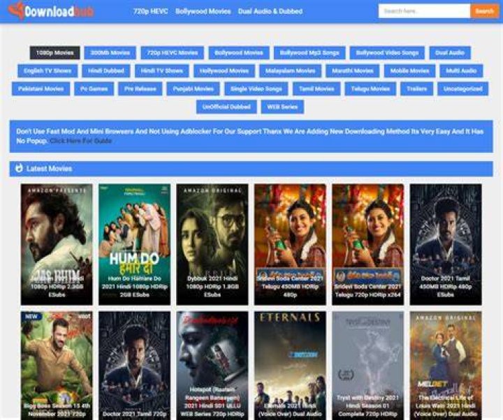 DownloadHub 2021 Download Full Movie Dual Audio 480p,720p,1080p HD For Free News & Media Release