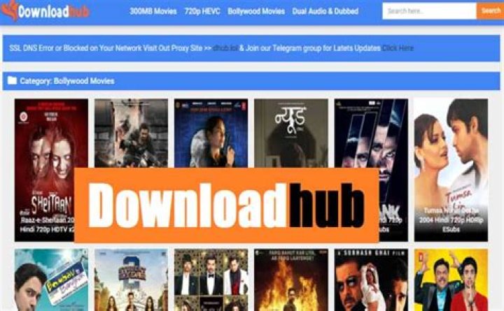 Downloadhub Marathi Movies Download August 2024