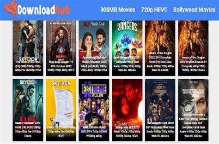 DownloadHub4u Down in Your Country? Here&rsquo;s How to Access It TechInShorts
