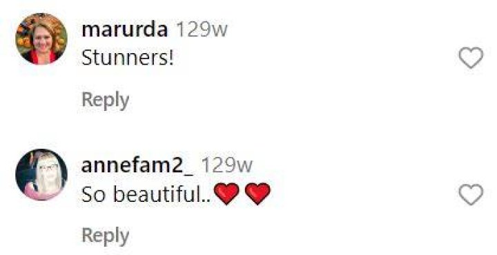 Fan comments dated April 26, 2021 | Source: Instagram/cameliasomers
