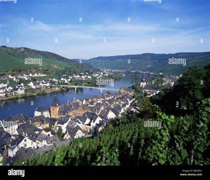 General view of the Moselle Hunting Lodge where Maggie and Paul Murdaugh were gunned down June 7. Their bodies were discovered by Murdaugh by the dog kennels