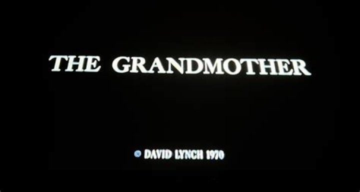 Grandmother: David's mother Sandra, who split from his father Ted in 2002 after 33 years of marriage, was seen inside the Peltz estate on Saturday