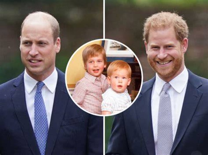 Harry and William with a cheetah at the Mokolodo nature reserve in Gaberone, Botswana on June 15, 2010