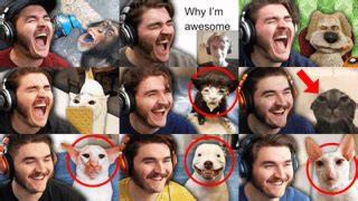 Has anybody noticed that Schlatt's face in the Tik Tok reaction video thumbnails has been