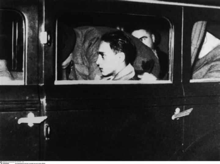 Herschel, shortly after he was rescued. Image credit: YouTube/Rocky Kanaka
