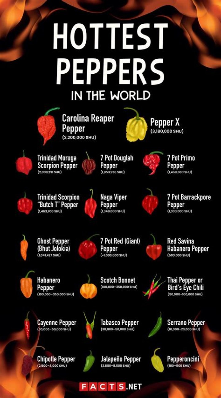 Hottest Peppers in the World 2023 - Top 10 (Updated) Hottest Peppers in the World 2023 - Top 10 (Updated)
