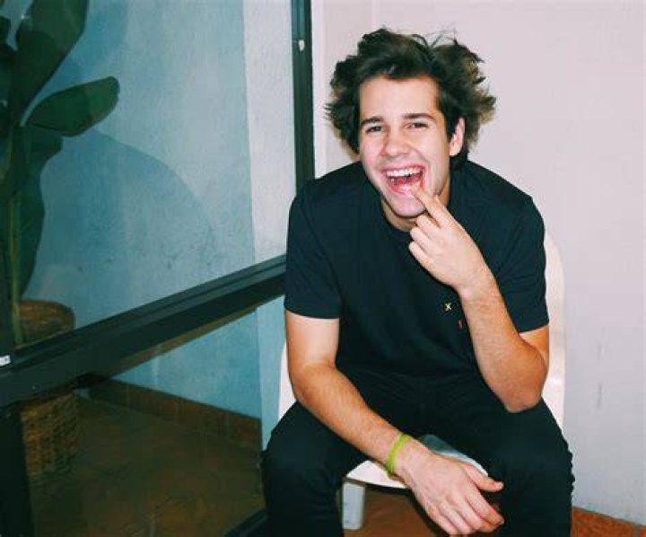 How Much Money David Dobrik Makes On YouTube Net Worth Naibuzz