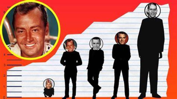 How Tall Is Alan Ladd