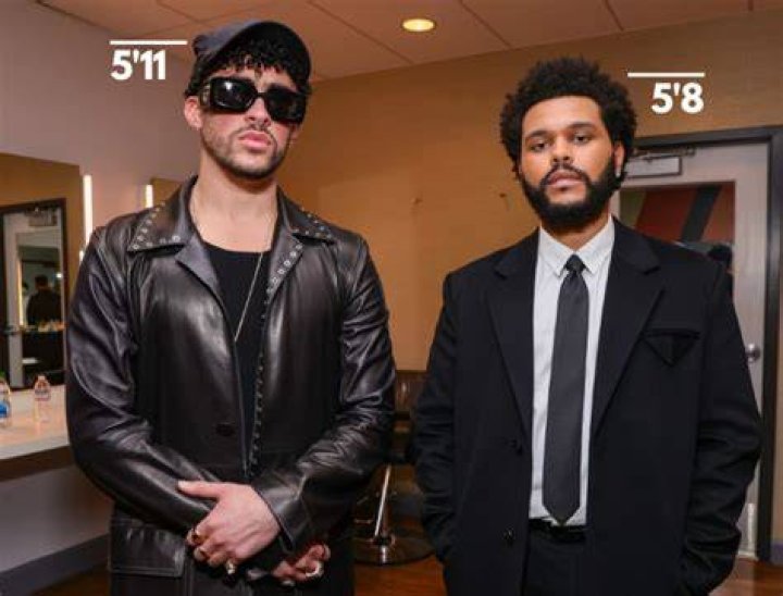 How Tall is Bad Bunny? Bad Bunny's Height How Tall Height
