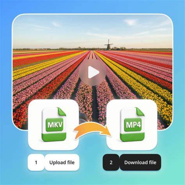 HOW TO DOWNLOAD FAST MKV MOVIES WITH IDM YouTube