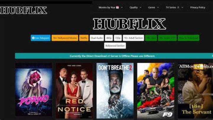 Hubflix 2021 Is Hubflix Providing the Illegal Streaming and Downloading?