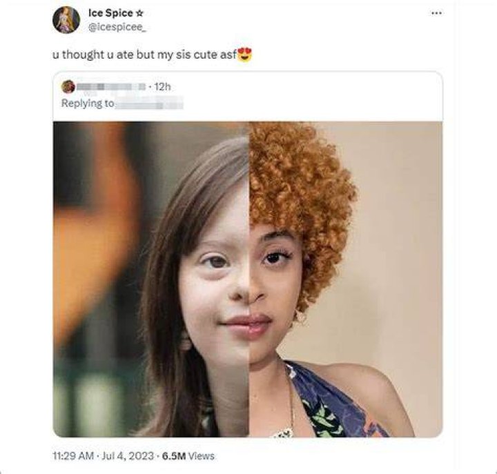 Ice Spice Down Syndrome meme Ice Spice Down Syndrome Theory Know Your Meme