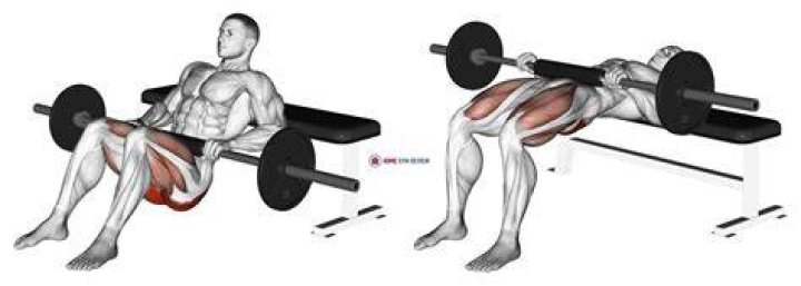 illustration of barbell hip thrust